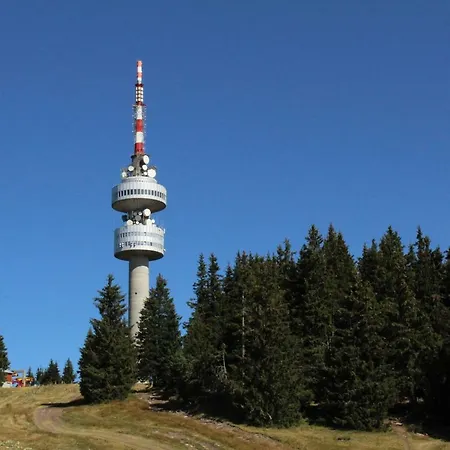 Snezhanka A425 *