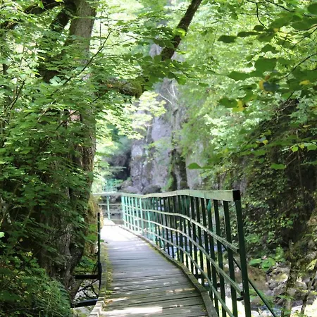 Snezhanka A425 شقة *